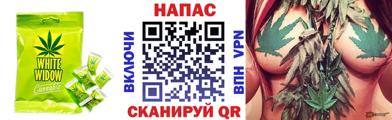 блэк спрут   Сергач  shop наркотические препараты  Cannafood конопля 