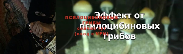 стафф Ладушкин