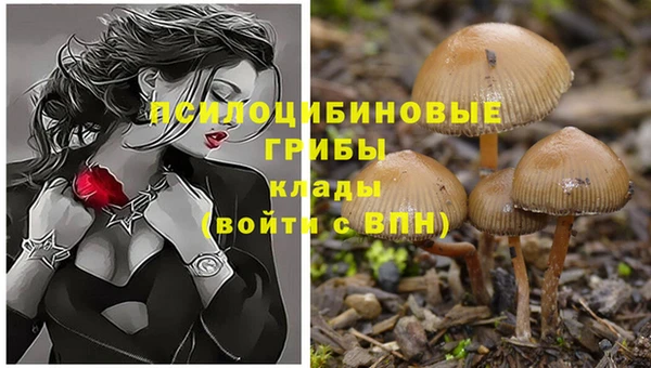 соль курить ск Лабытнанги