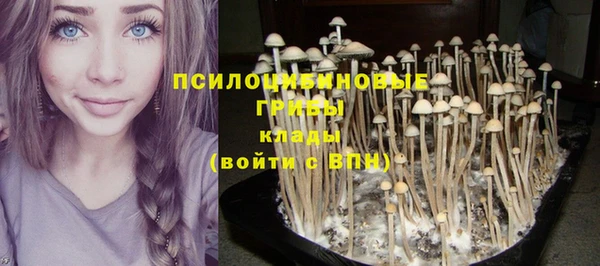 соль курить ск Лабытнанги