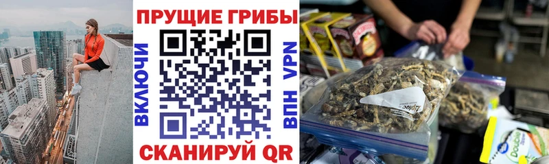 Галлюциногенные грибы Magic Shrooms  маркетплейс официальный сайт  MEGA сайт  Сергач  купить наркотики цена 