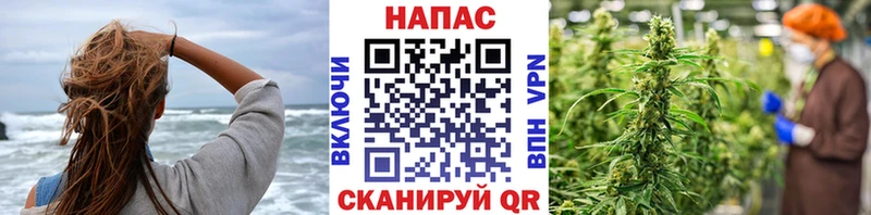 Бошки Шишки сатива  Сергач 